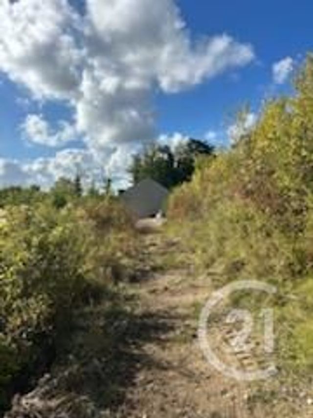 terrain - COUILLY PONT AUX DAMES - 77