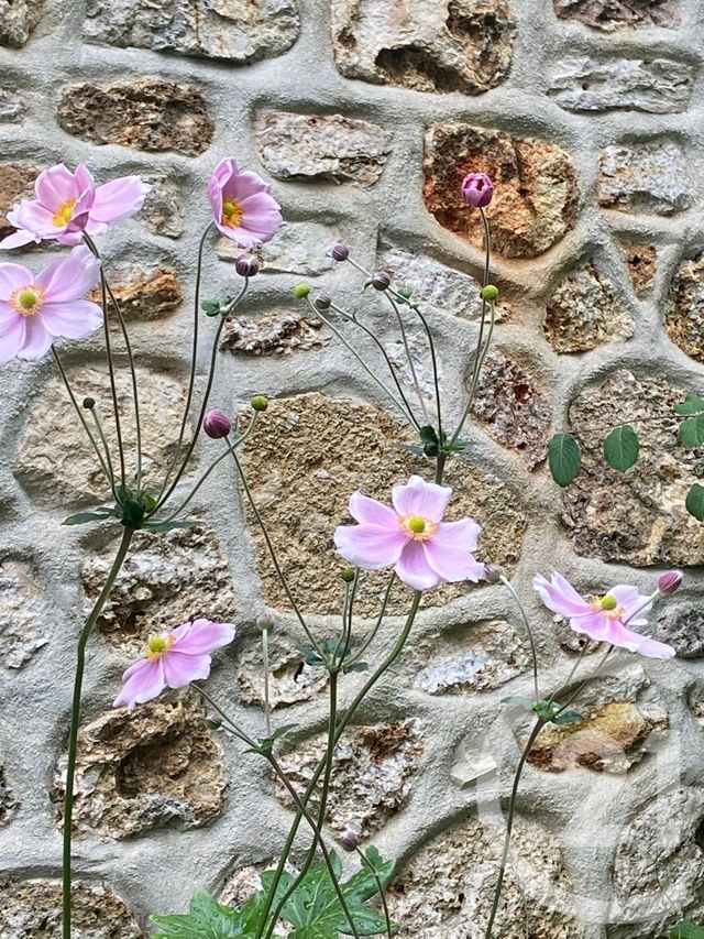 maison à vendre - 6 pièces - 95.77 m2 - VAIRES SUR MARNE - 77 - ILE-DE-FRANCE - Century 21 Victoire Immobilier